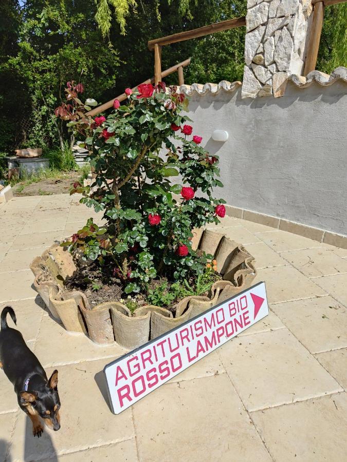 Agriturismo Rosso Lampone Cerreto Laziale Exteriör bild